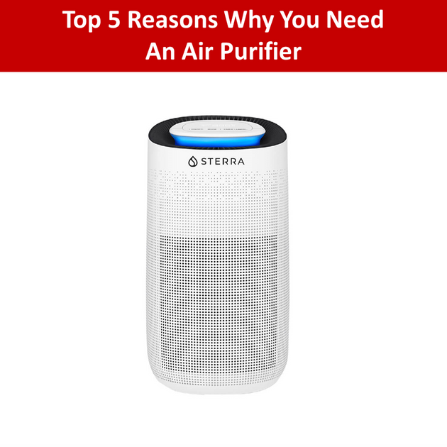 Top 5 Reasons Why You Need an Air Purifier Sterra MY