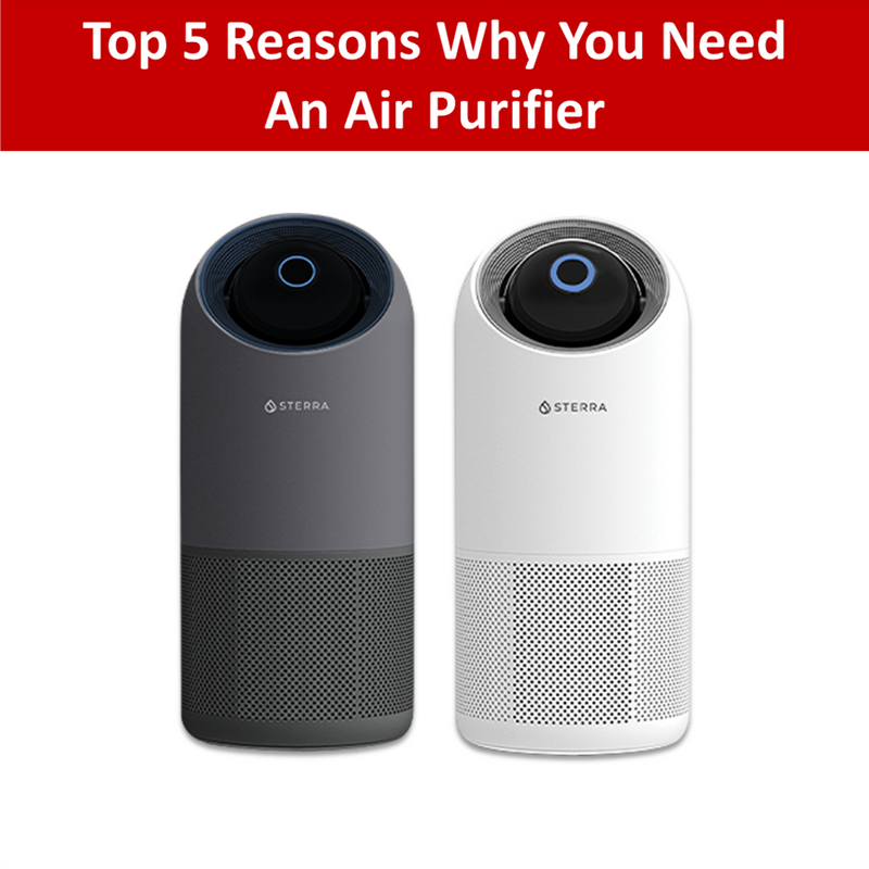 Top 5 Reasons Why You Need an Air Purifier